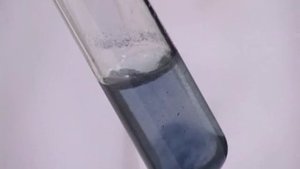 Аминокислоты, белки. Образование медной соли аминоуксусной кислоты