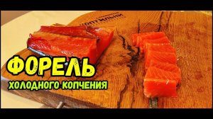 Как быстро ЗАКОПТИТЬ форель Холодным Способом! Способ есть! Электростатическая коптильня!