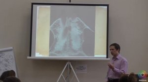 006 Захаров А.В. Основы остеопатии. Взаимодействие ортодонта и остеопата.