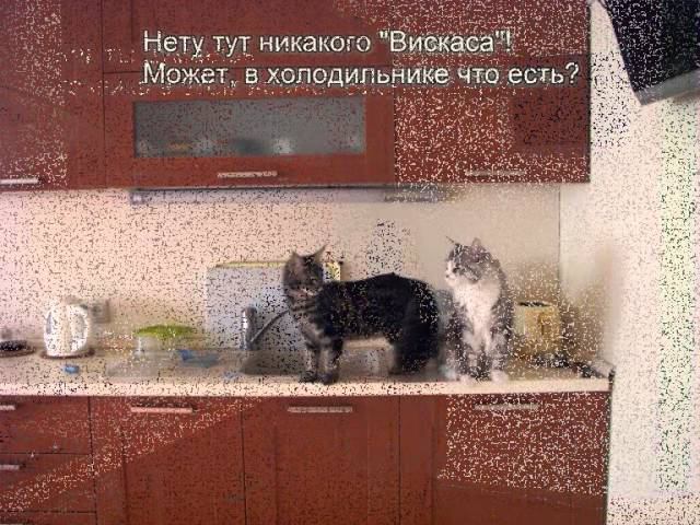 Одни дома_0002.wmv смотреть онлайн