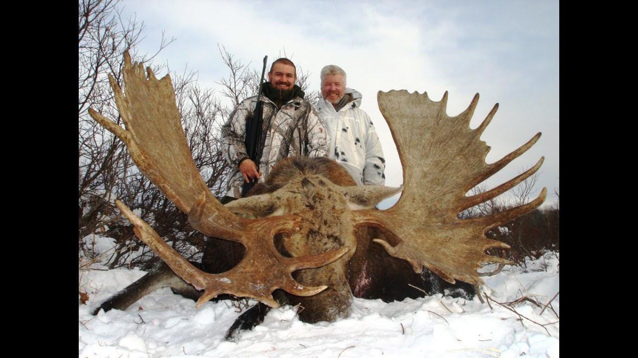 Chukotka Moose Hunting In Kamchatka 2008. Охота на Чукотского лося на Камчатке 2008.