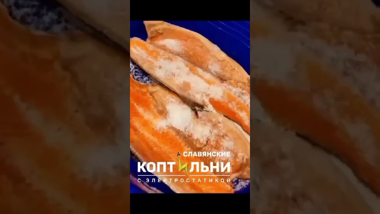коптить можно за 20 минут #коптильня #славянскиекоптильни #электростатика