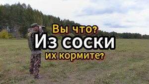 Вы что из соски их кормите?