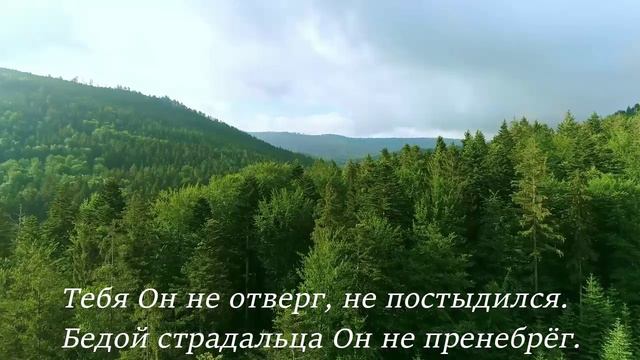 «Отпускай хлеб твой по водам.» Brat Bruder.