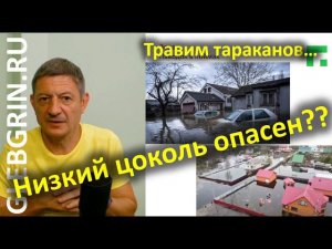 Низкий цоколь опасен? Травим тараканов из голов