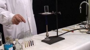 Углеводы. Кислотный гидролиз крахмала