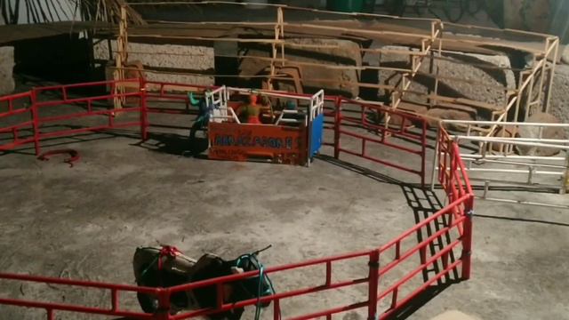 Ayudenlo Lo piso el Toro!! Final Rey Del Ruedo/ Jaripeo de Juguete en la Noria Guanajuato смотреть онлайн