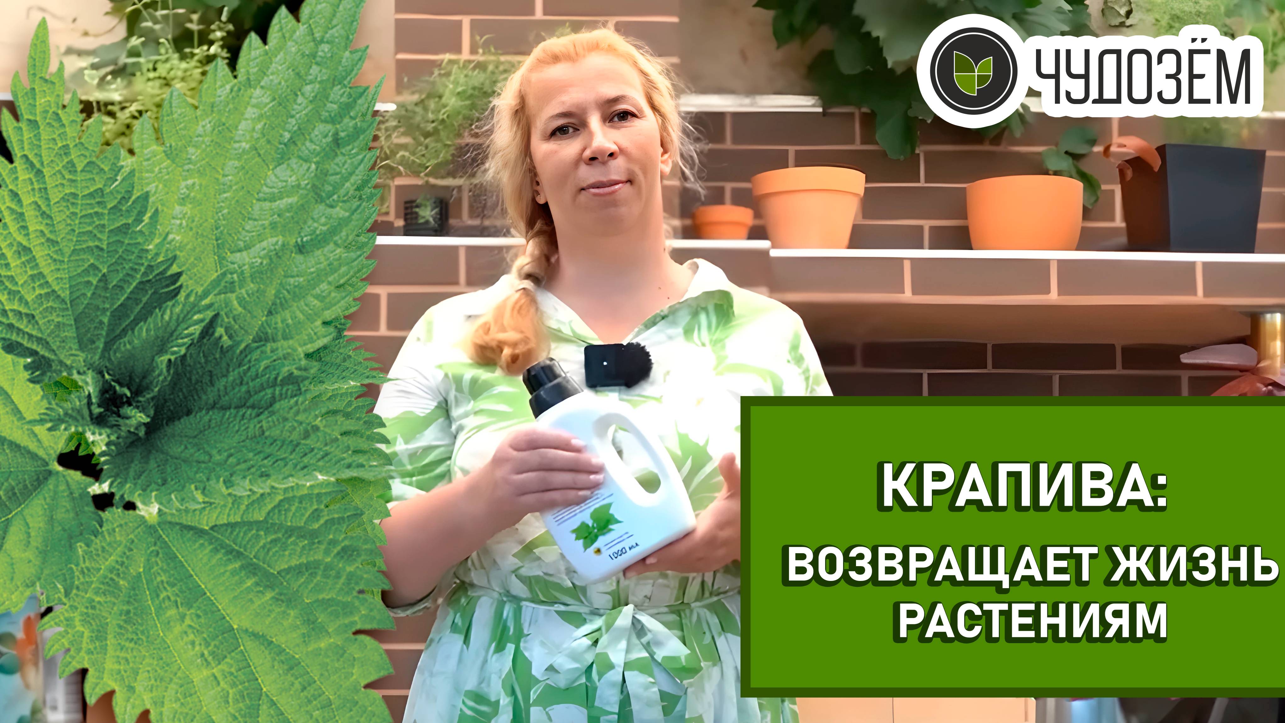 Чудо-удобрение: Как крапива возвращает растениям жизнь! 🌿✨