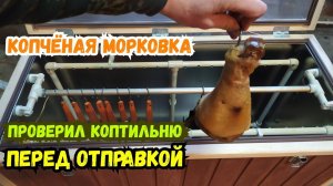 Электростатическая коптильня! Закоптил морковку! Тестовый запуск перед отправкой.