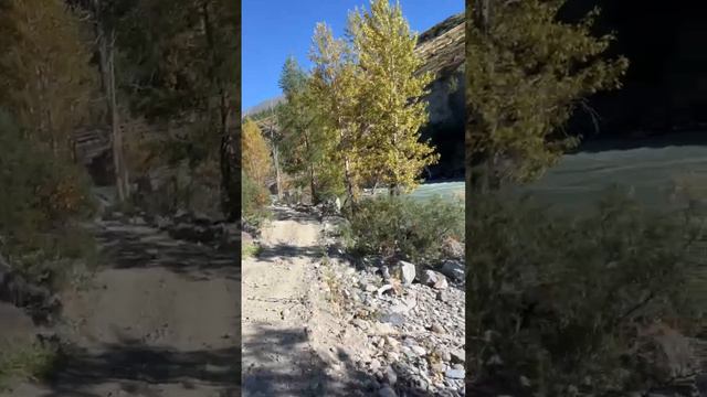 Алтай. Дороги в горах. Горные реки. смотреть онлайн