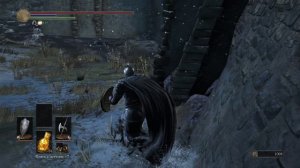 Dark Souls 3 Прохождение #58, Гниющий мир в картине