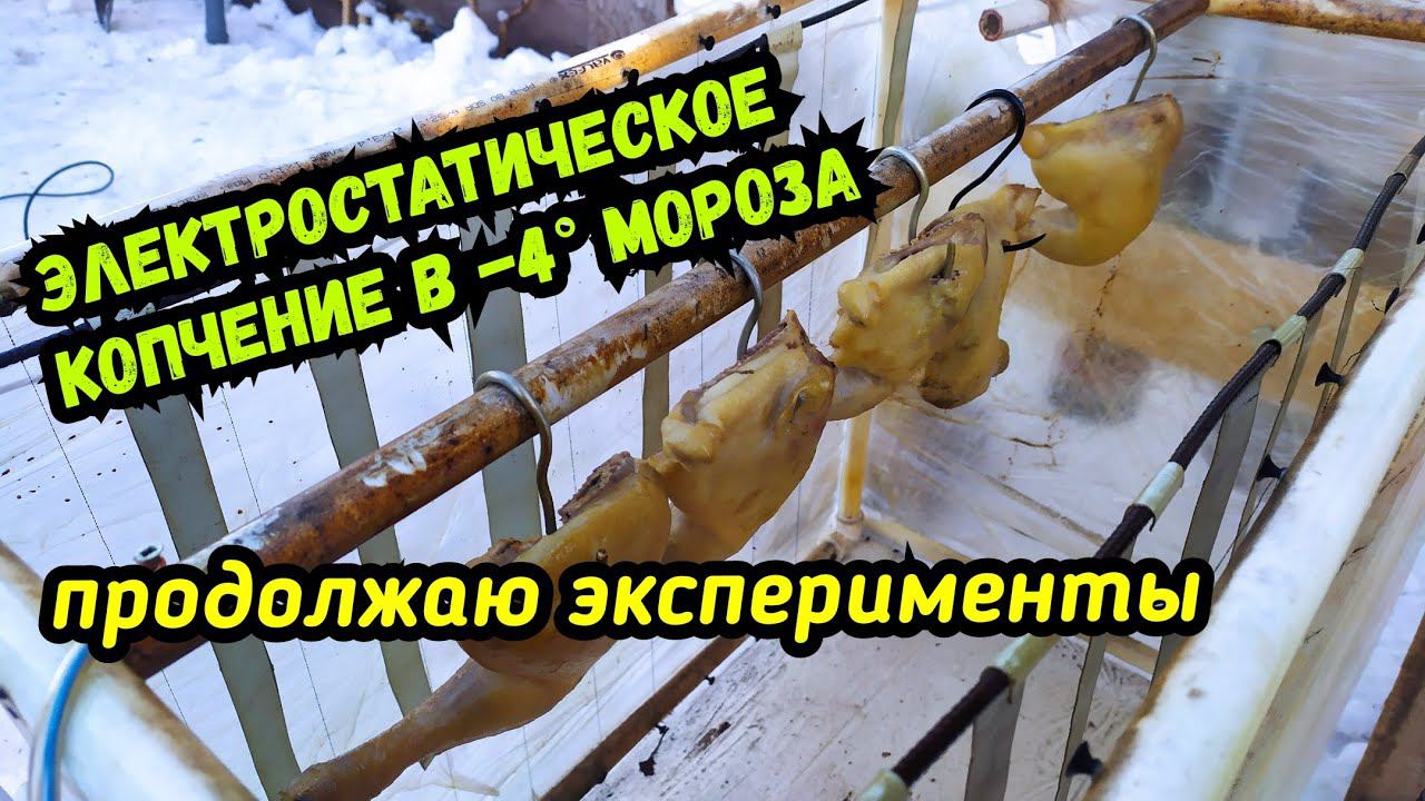 Электростатическое копчение в -4 мороза. Копченые окорочка. Новый эксперимент!