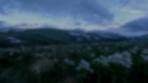 Лаго-Наки 2024