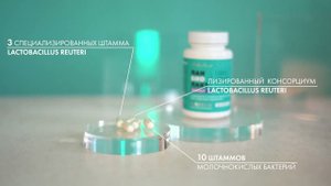 Панбиолакт Ментал   Психобиотик нового поколения