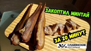 Минтай холодного копчения. Электростатика. Новый эксперимент.