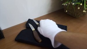 Нож для Овощей или Овощной кухонный нож. АиР Златоуст. Сталь 100Х13М