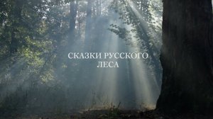 Проект "Сказки русского леса"  (мультимедийный спектакль с композитором Николя Челоро)