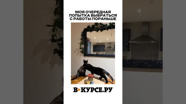 ВЕЧЕРНЕЕ ВЕСЕЛОЕ