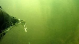 досадный промах!!!!