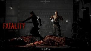 Mortal Kombat 1 Online Stress Test - ALL Fatalities on Liu Kang!【PS5 | 1080p | 60fps】