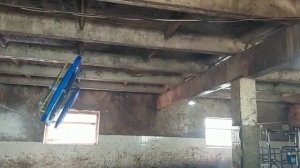 Разгонные вентиляторы для охлаждения крс #разгонные вентиляторы