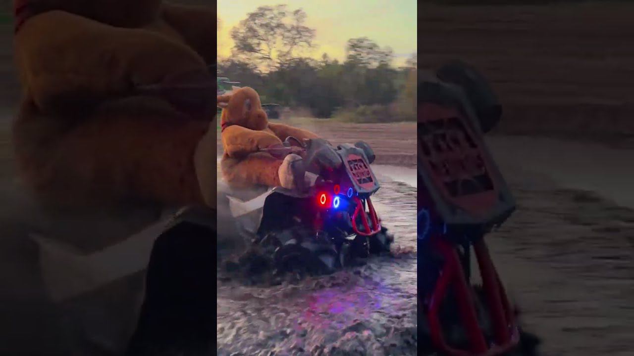 Как вам такая экипировка для покатух?