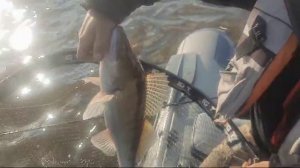 Обь на резину 14сент.2024.mp4