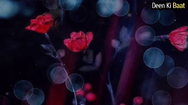 Mah E Shaban Ke Rozon Ki Fazilat by Dr Farhat Hashmi смотреть онлайн