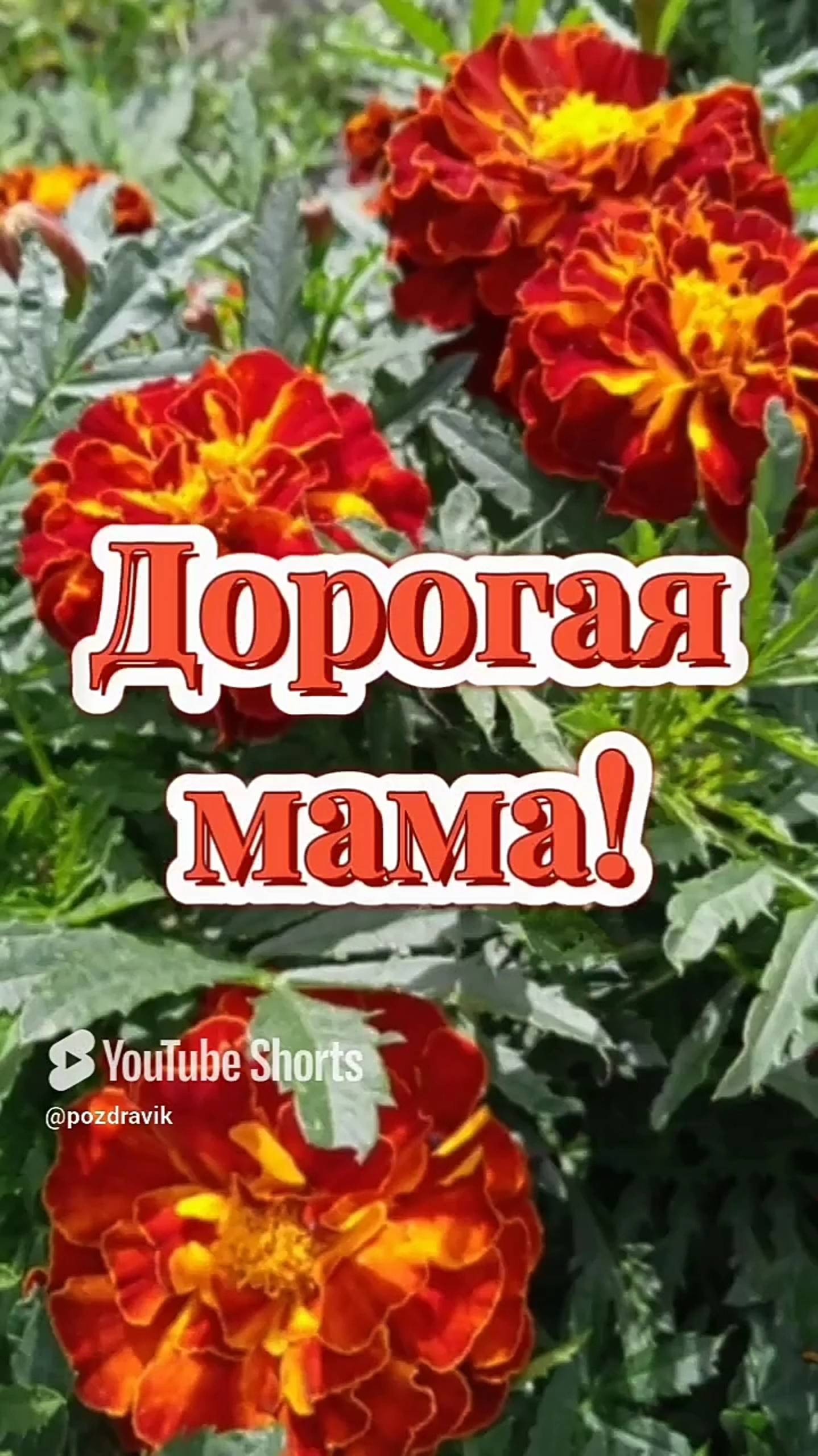 Спасибо Мама