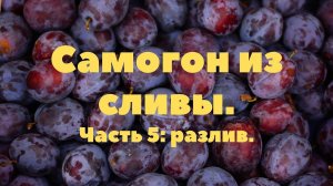 Часть 5 Самогон из сливы разлив и дегустация!