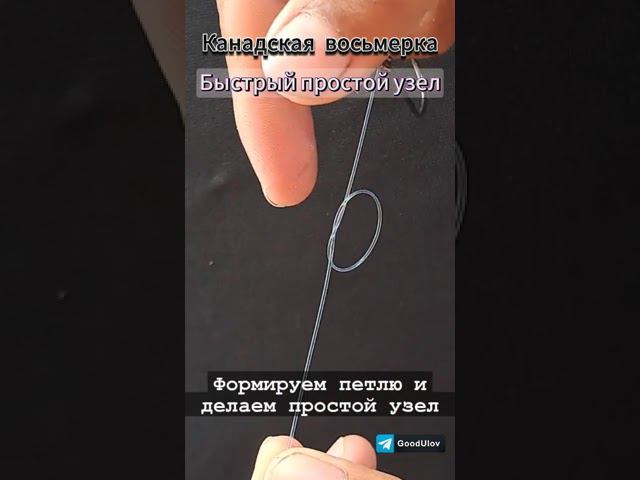 Быстро привязать крючок к леске – способ Канадская Восьмерка |  #fishing #рыбалка #снастидлярыбалки