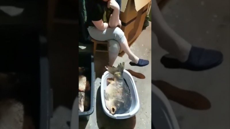 Зачем вы мужики ходите на рыбалку, лучше водку пейте