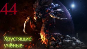 Starcraft Remastered. #44. Хрустящие учёные.