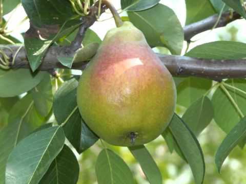 Музыка лета смотреть онлайн