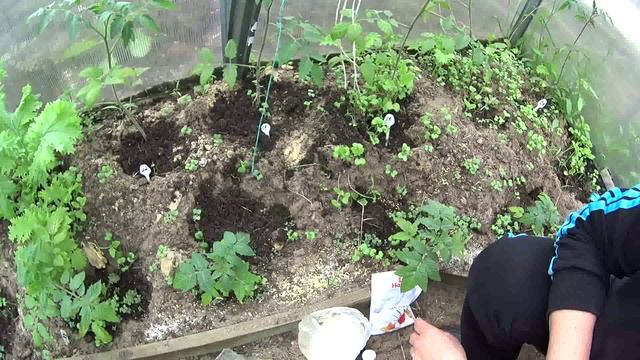 38 - САМЫЙ ЛУЧШИЙ И ПРОСТОЙ СПОСОБ БОРЬБЫ С МУРАВЬЯМИ!!! смотреть онлайн