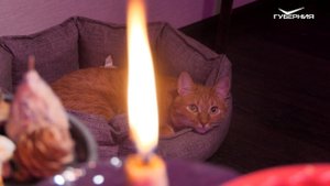 ДЕЛАЕМ ЭНЕРГЕТИЧЕСКУЮ СВЕЧУ ЗАРЯЖЕННУЮ НА ОЧИЩЕНИЕ