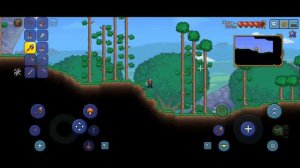 Выживание в Террарии | Terraria 100 days