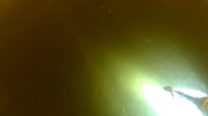 в поисках сазана Удача