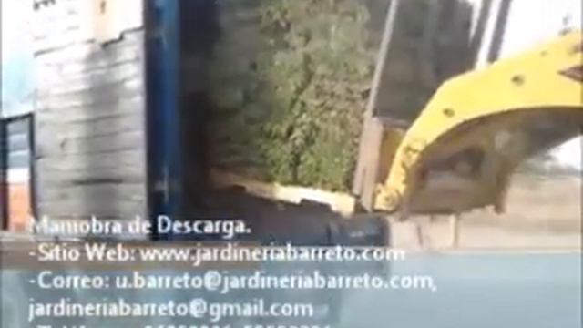 Pasto en Rollo. Maniobra de Carga. Pasto San Agustín. Jardinería Barreto смотреть онлайн