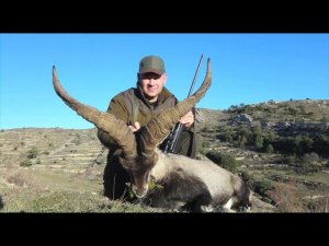 Охота на Козерогов и Гривистого барана в Испании 2012 г. - Hunting  in Spain 2012