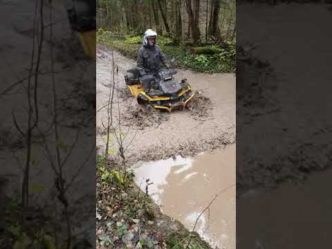 квадроцикл Stels Guepard