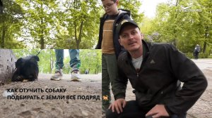КАК ОТУЧИТЬ СОБАКУ ПОДБИРАТЬ С ЗЕМЛИ ВСЁ ПОДРЯД