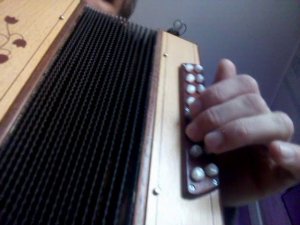 Тонкая рябина(как играть на гармони)