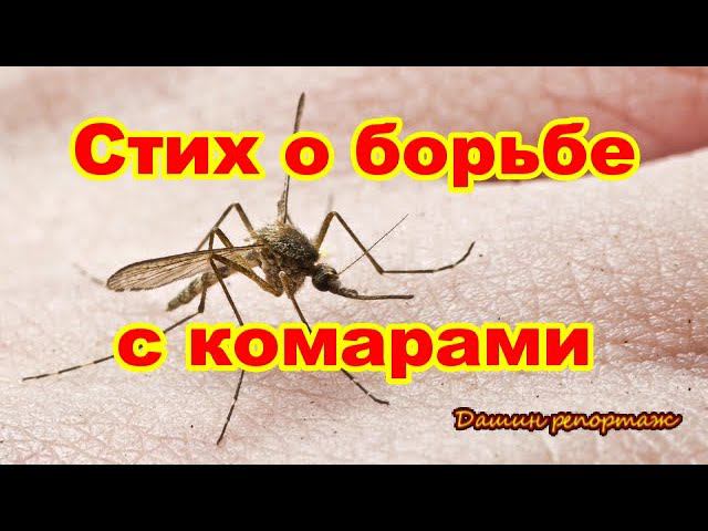 Стих о борьбе с комарами