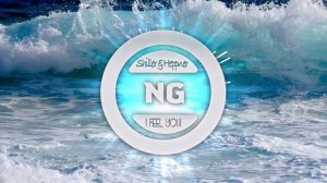 Shiller feat. Heppner - I Feel You (NG Remix)