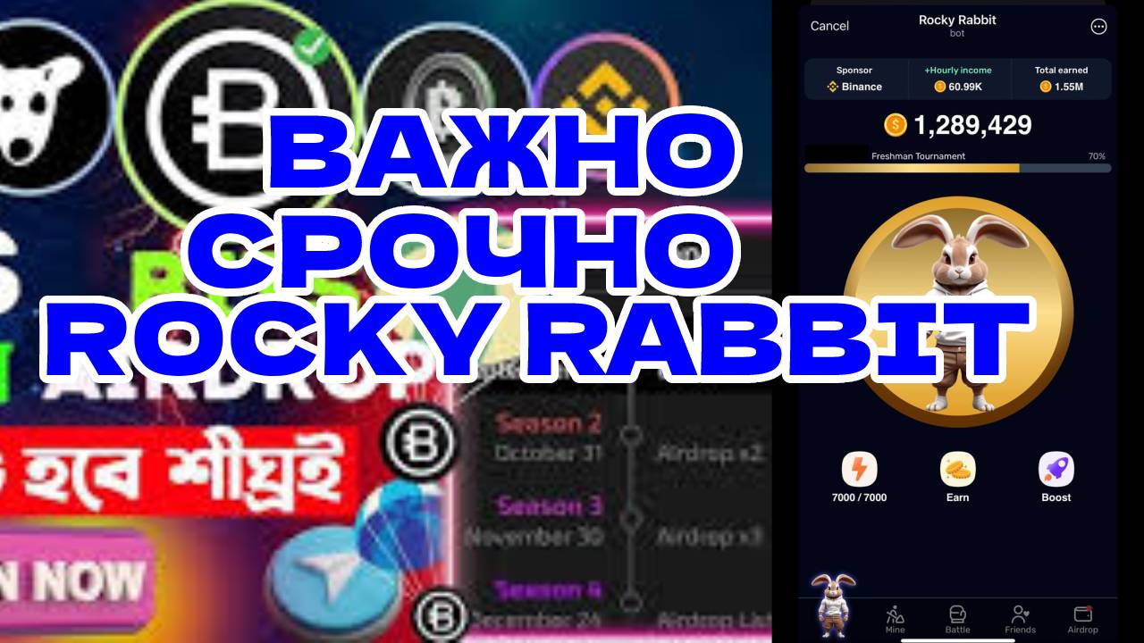 Rocky rabbit энигма 11 сентября. Rocky rabbit энигма 11 сентября