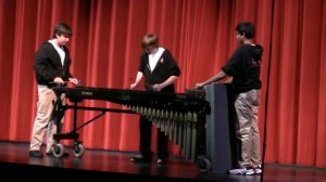 Aaron, Max and Karish  Marimba 2010 01 30.wmv