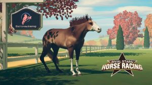 Играю в мобильную версию, разведение, скачки  Rival Stars Horse Racing