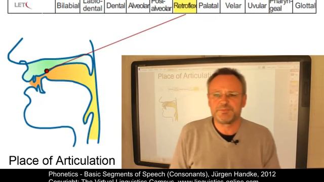 Basic Segments of Speech (Consonants)