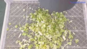 Машина для нарезки овощей и фруктов - Leaddenmar Belt Cutter Pro